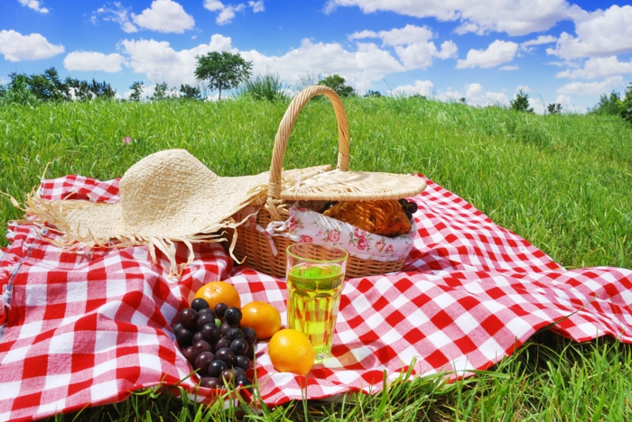 pique-nique-panier-picnic-7
